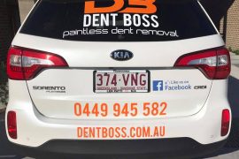 dentboss logo adding